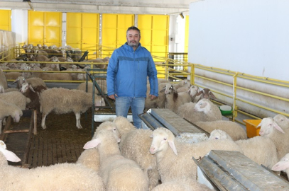 TKDK DESTEĞİYLE BÖLGENİN EN MODERN KOYUN SÜTÜ ÜRETİM TESİSİNİ KURDU