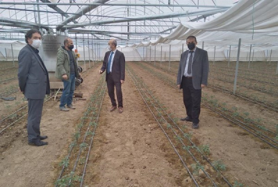 SERALARDA İLKBAHAR DİKİMİ BAŞLADI