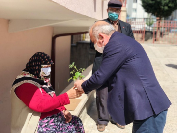 ÇANKIRI BELEDİYESİ ANNELERE FİDE DAĞITTI