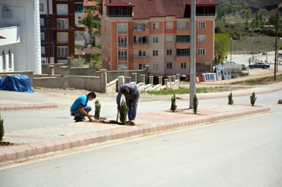 YEŞİL ILGAZ ADINA YARAŞIR ŞEKİLDE DÜZENLENİYOR