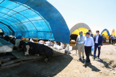 ÇANKIRI'DA HAYVAN PAZARI ALANI BU YIL ÜCRETSİZ
