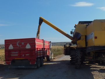 ÇELTİK ÜRETİCİSİ "DUYUN SESİMİZİ" DİYOR