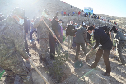 ÇANKIRI'DA 579 BİN FİDAN TOPRAKLA BULUŞTU