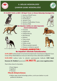 TEHLİKE ARZ EDEN HAYVAN SAHİPLERİNİN DİKKATİNE