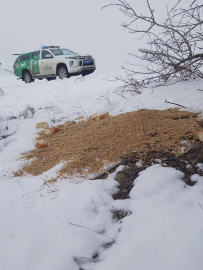 JANDARMA CAN DOSTLARIMIZIN YANINDA