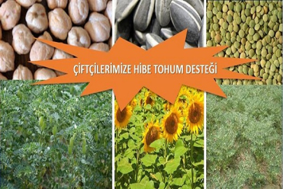 ÇİFTÇİLERİMİZE HİBE TOHUM DESTEĞİ GELİYOR