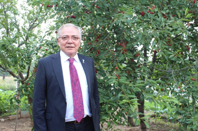 KÜÇÜK ŞEYLERLE MUTLU OLABİLMENİN MUAZZAM GÜZELLİĞİ