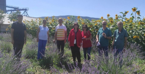 GENEL MÜDÜR NAZAN ŞENER TARIM MESLEK LİSESİ BUĞDAY HASADINDA