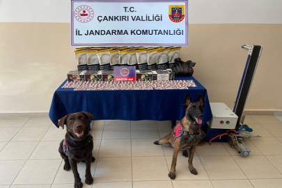 ÇANKIRI İL JANDARMA EKİPLERİNDEN KAÇAK İÇKİ VE UYUŞTURUCU OPERASYONU