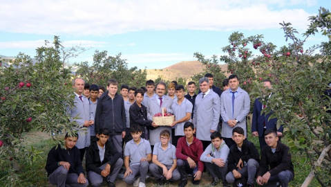 VALİ AYAZ ÖĞRENCİLERLE BİRLİKTE HASAT YAPTI