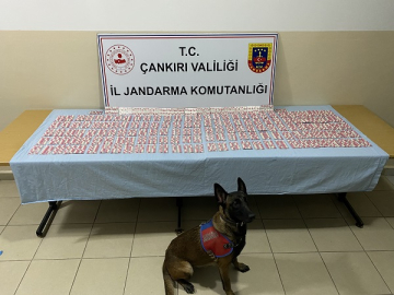 JANDARMA OPERASYONLARI HIZ KESMEDEN DEVAM EDİYOR