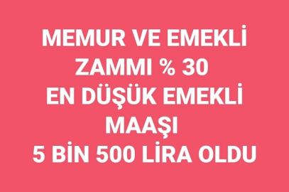 MEMUR VE EMEKLİ ZAMMI % 30 EN DÜŞÜK EMEKLİ MAAŞI 5 BİN 500 LİRA OLDU