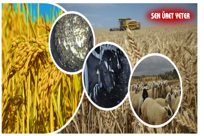 13. TARIM ORMAN VE İNSAN FOTOĞRAF YARIŞMASI'NIN BAŞVURU SÜRESİ UZATILDI