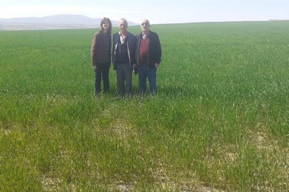 İL TARIM VE ORMAN MÜDÜRLÜĞÜ EKİPLERİ HUBUBAT ALANLARINDA GÖZLEM VE KONTROLLERİNE DEVAM EDİYOR