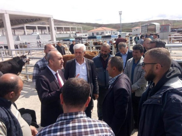 İL TARIM VE ORMAN MÜDÜRÜ DÜZGÜN YENİDEN AÇILAN HAYVAN PAZARINDA İNCELEMELERDE BULUNDU