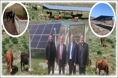 ÇANKIRIDA BİR İLK! MERADA HAYVANLAR SU İLE BULUŞTU...