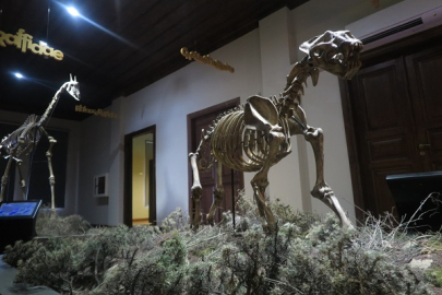 18 MAYIS MÜZELER GÜNÜ ÇEŞİTLİ ETKİNLİKLERLE KUTLANACAK