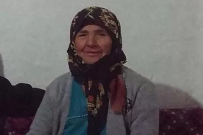 JANDARMA OLAYIN PEŞİNİ BIRAKMADI YAŞLI KADININ KATİLİNİ 3 YIL SONRA YAKALADI