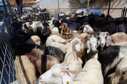 KURBAN KESİM ÜCRETLERİ BELİRLENDİ