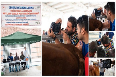 ÇANKIRI HAYVAN PAZARINDA KURBANLIKLARA GEBELİK MUAYENESİ BAŞLADI