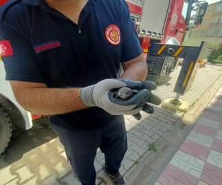 YAVRU KIRLANGIÇ İTFAİYE EKİPLERİNCE KURTARILDI