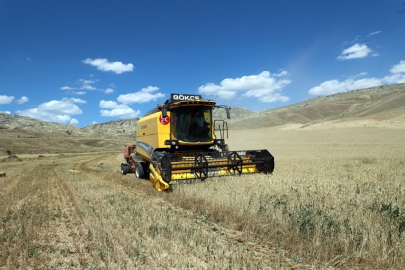 BELEDİYENİN BUĞDAY HASADINDA VERİM ARTTI