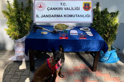 ÇANKIRI JANDARMASINDAN UYUŞTURUCUYA GEÇİT YOK