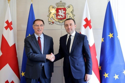 TÜRKİYE OMBUDSMANI MALKOÇ, GÜRCİSTAN BAŞBAKANI GARİBASHVİLİ İLE GÖRÜŞTÜ