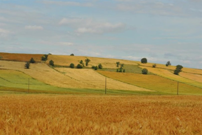 TARIMSAL ÜRETİM YAPILACAK ALANLAR ÇKS'DE KAYITLI OLACAK