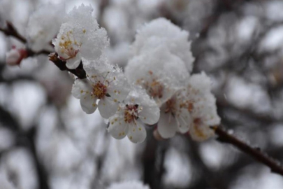 METEOROLOJİ ZİRAİ DON OLAYINA KARŞI UYARDI
