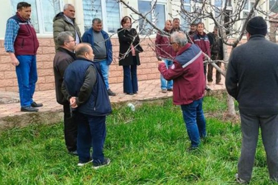 ÇANKIRI'DA MEYVE AĞAÇLARINDA BUDAMA SEFERBERLİĞİ