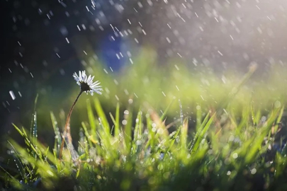 ŞİFA KAYNAĞI NİSAN YAĞMURU