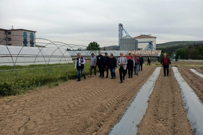 ŞEHİT MEHMET ATA MTAL BÜNYESİNDE AKILLI SÜS BİTKİLERİ SERASI KURULACAK