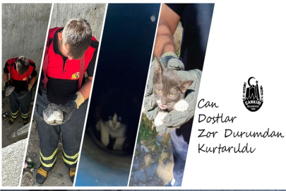 CAN DOSTLARIN YARDIMINA ÇANKIRI BELEDİYESİ KOŞTU