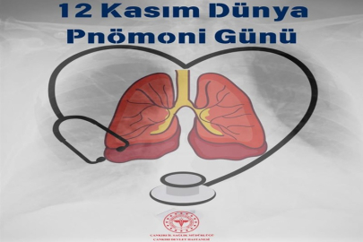 12 KASIM DÜNYA PNÖMONİ GÜNÜ