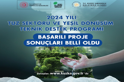 TUZ SEKTÖRÜ VE YEŞİL DÖNÜŞÜM