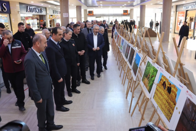 ÇANKIRI'DA GÖRSEL ŞÖLEN BAŞLADI