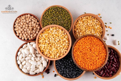 UZUN YAŞAMIN ANAHTARI: "BAKLİYATLAR"