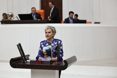 FAHRİ TRAFİK MÜFETTİŞLERİNİN KESTİĞİ CEZALAR MECLİS GÜNDEMİNDE