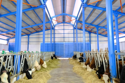 ÇANKIRI TARIM MESLEK LİSESİ TARIM VE HAYVANCILIKTA ÜRETİMİYLE ÖRNEK OLUYOR