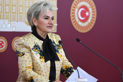 CHP'Lİ VEKİL NİMET ÖZDEMİR'DEN HAYVAN HAKLARI KONUSUNDA YAPILAN SON DÜZENLEMELERE TEPKİ