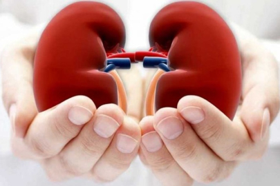 13 MART DÜNYA BÖBREK GÜNÜ