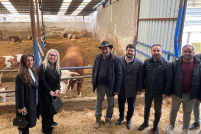 TARLADA SESSİZLİK, SİYASETTE DUYARSIZLIK...