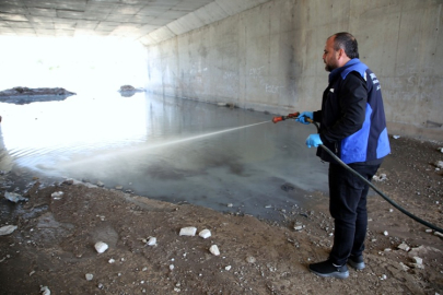 ÇANKIRI, UÇUCU HAŞERELERE KARŞI İLAÇLANIYOR...