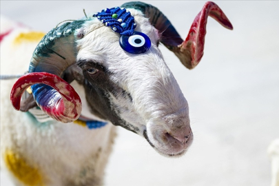 KURBAN BAYRAMINDA ALINACAK TEDBİRLER AÇIKLANDI