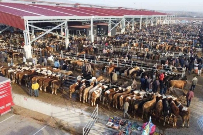 81 İLDEKİ HAYVAN PAZARLARINA KAPATMA KARARI