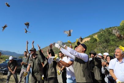 ILGAZ'DA KEKLİKLER DOĞAYLA BULUŞTU