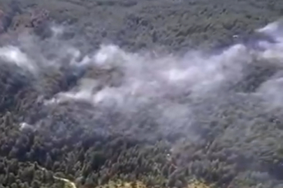 ILGAZ'DAKİ ORMAN YANGINI KONTROL ALTINA ALINDI