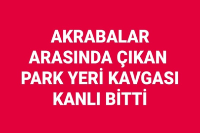 AKRABALAR ARASINDA ÇIKAN PARK YERİ KAVGASI KANLI BİTTİ