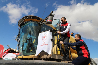 KIZILIRMAK KARAMÜRSEL OVASINDA ÇELTİK HASADI BAŞLADI